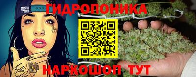 мет Можга