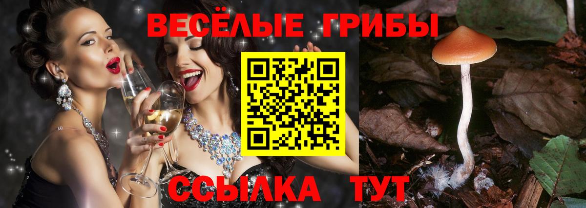 Галлюциногенные грибы Cubensis Дедовск